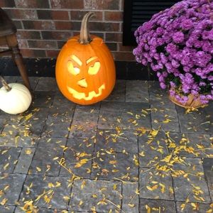 Meet your Posher, Sandy